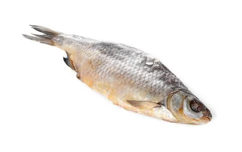 Dried salted roach fish isolated on white Stock Photos