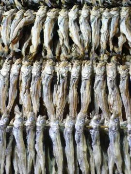 Dried sardines Stock Photos