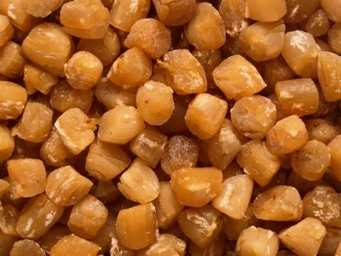Dried scallops Stock Photos