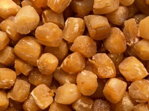 Dried scallops Stock Photos