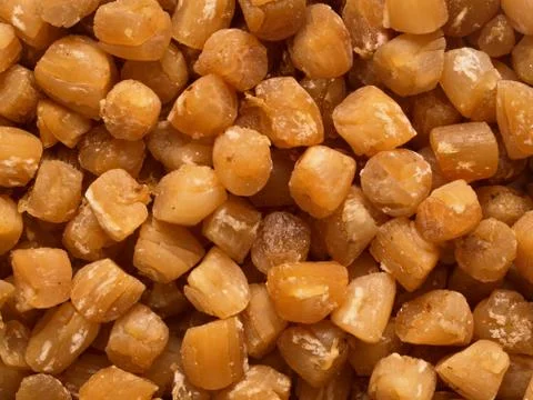 Dried scallops Stock Photos