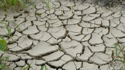 Dried scorched earth during drought, failed crop concept Video stock 110777841