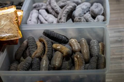 Dried sea cucumbers in plastic container at Bangkok Chinatown market 스톡 사진