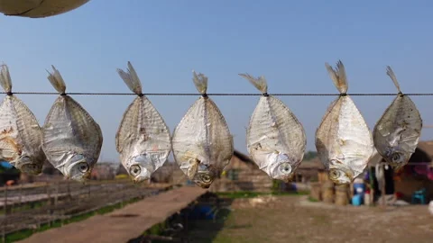 Dried sea fish on a string swing in the wind Stock Footage 244530607