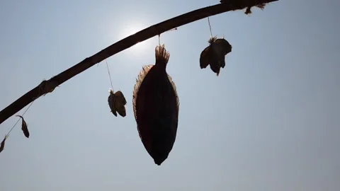 Dried sea fish on a string swing in the wind Stock Footage 263569236