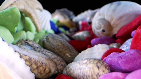 Dried sea shells on colored sand 12 Stock Footage 145668450