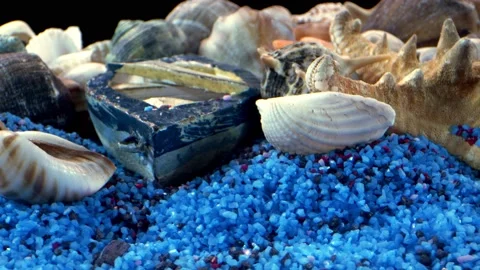 Dried sea shells on colored sand 17 Stock Footage 145669110