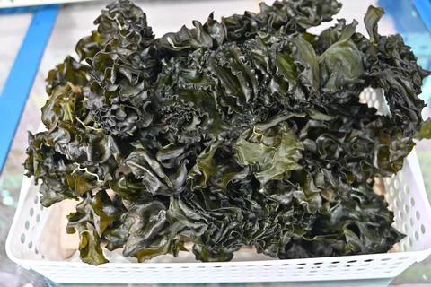 Dried seaweed Stock Photos