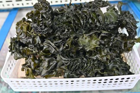 Dried seaweed Stock Photos