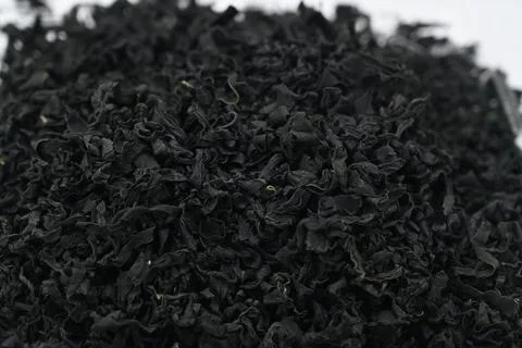 Dried seaweed Stock Photos