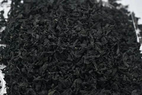 Dried seaweed Foto stock