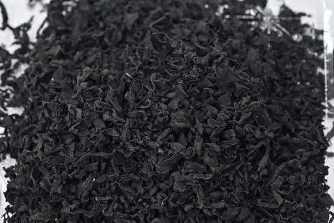 Dried seaweed Stock Photos