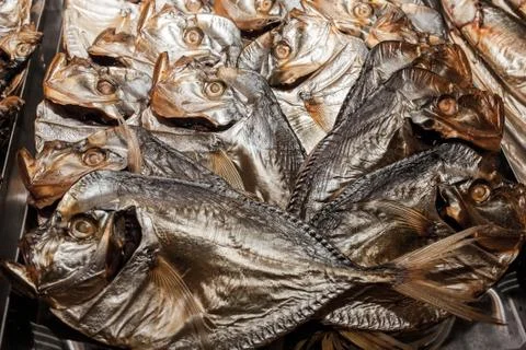 Dried selenium with open mouth Foto stock