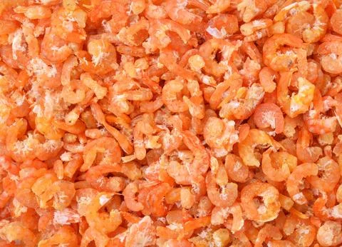 Dried shrimp background Stock Photos