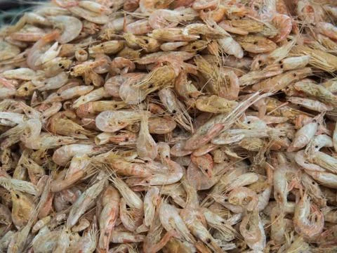Dried shrimp background. Stock Photos