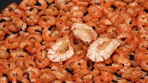 Dried Shrimp Falling Onto White Plate Close Up Video stock 337783301