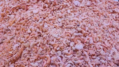 Dried shrimp. Video stock 316359529