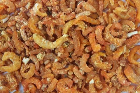 Dried shrimp Stock Photos