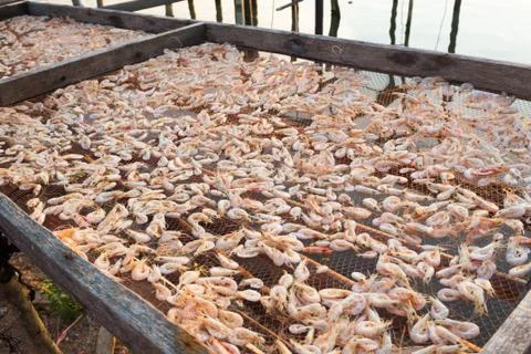 Dried shrimp Stock Photos