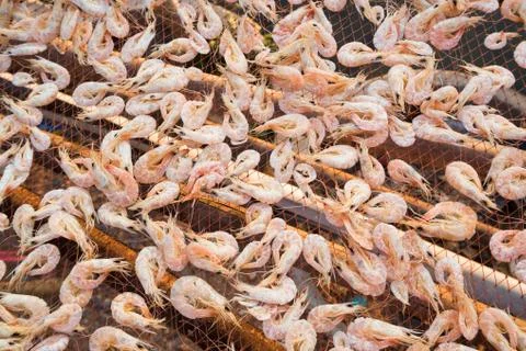 Dried shrimp Stock Photos
