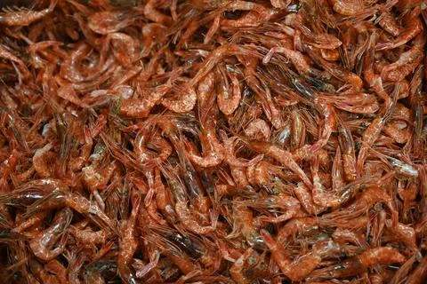 Dried shrimp Stock Photos