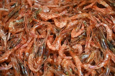 Dried shrimp Stock Photos
