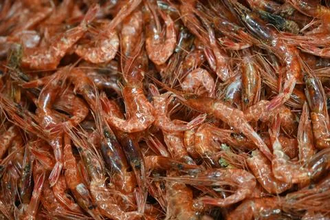 Dried shrimp Stock-Fotos