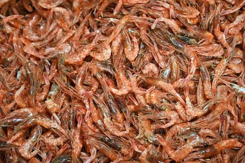 Dried shrimp Stock Photos