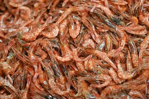 Dried shrimp Stock Photos