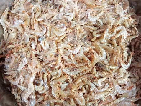 Dried shrimp Stock Photos