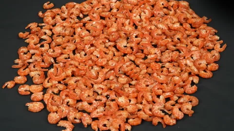 Dried Shrimp Rotating On Black Background Close Up Stock Footage 337779920