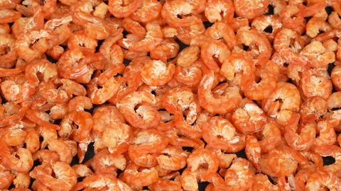 Dried Shrimp Rotating On White Plate Close Up Stock-Footage 337779643