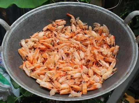 Dried shrimp shells on a frying pan closeup out of focus Stock Photos