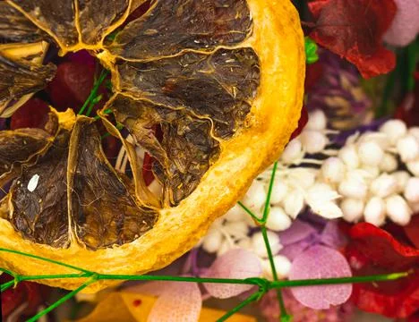 Dried slice of lemon close-up, macro background concept Stock Photos