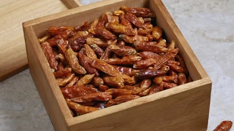 Dried  small chili peppers close up full frame as background Stock Footage 172143389