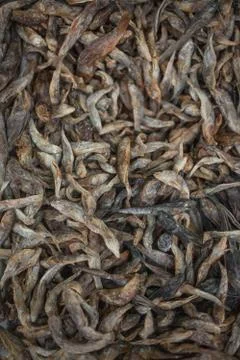 Dried Small fish background Stock-Fotos