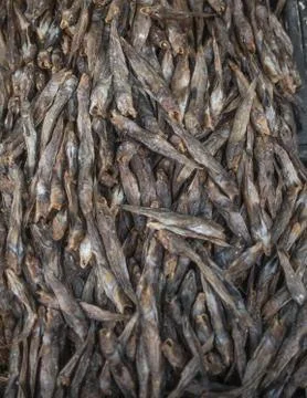 Dried Small fish background Foto stock