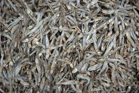 Dried small fish texture background Stock Photos