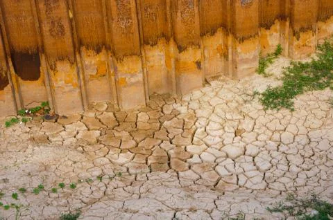 Dried soil cracked texture. Stock Photos