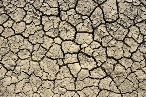 Dried soil with cracks Stock Photos