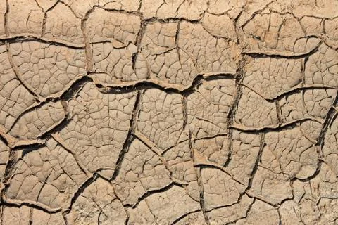 Dried soil with many cracks Foto stock