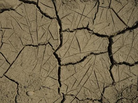 Dried soil surface in a field Stock Photos