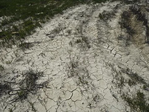 Dried soil surface in a field Stock Photos
