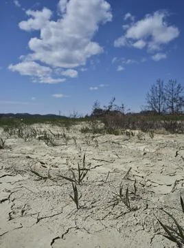 Dried soil surface in a field Stock Photos