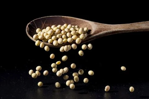 Dried soy beans falling off a spoon. Stock Photos