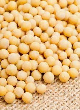 Dried soybeans on burlap Stock Photos