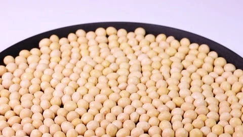 Dried soybeans on a tray, rotating Stock Footage 304770709