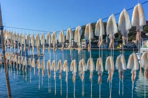 Dried squid hanging on string at Yobuko Port located on the Higashi Matsuura Pen Stock Photos