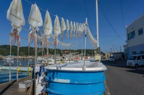 Dried squid hanging on string at Yobuko Port located on the Higashi Matsuura Pen Stock Photos