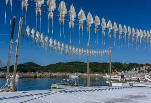 Dried squid hanging on string at Yobuko Port located on the Higashi Matsuura Pen Stock Photos